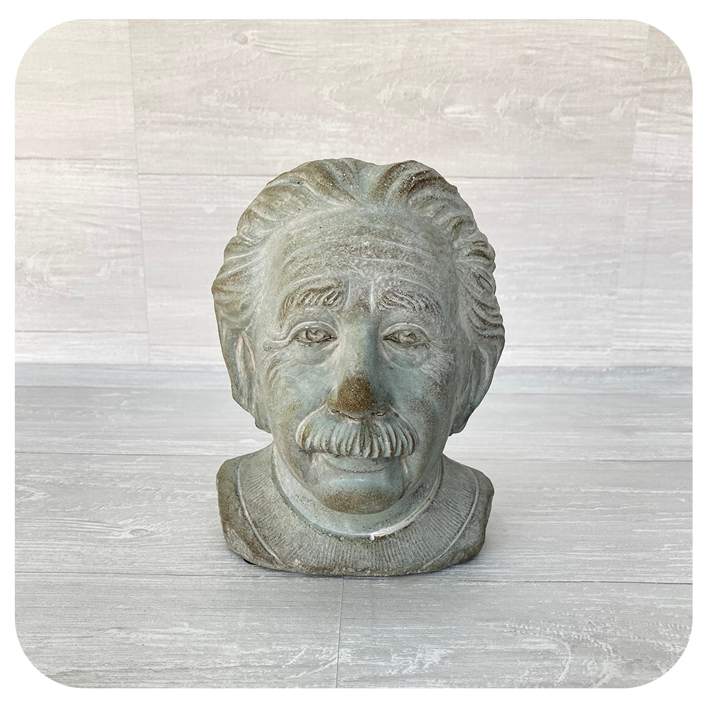 Einstein Head Planter