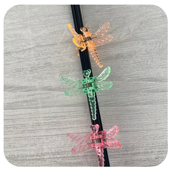 Orchid Stakes with Dragonfly Clip
