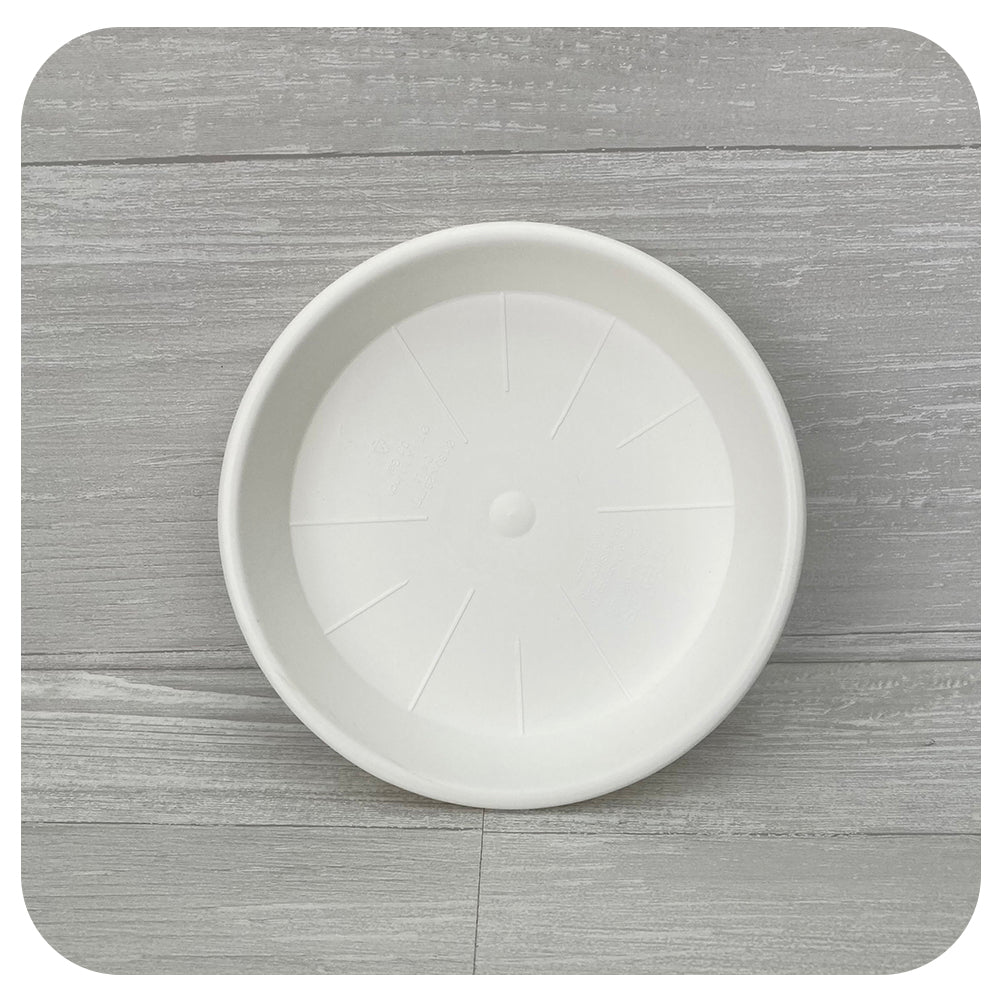 White Plastic Saucer