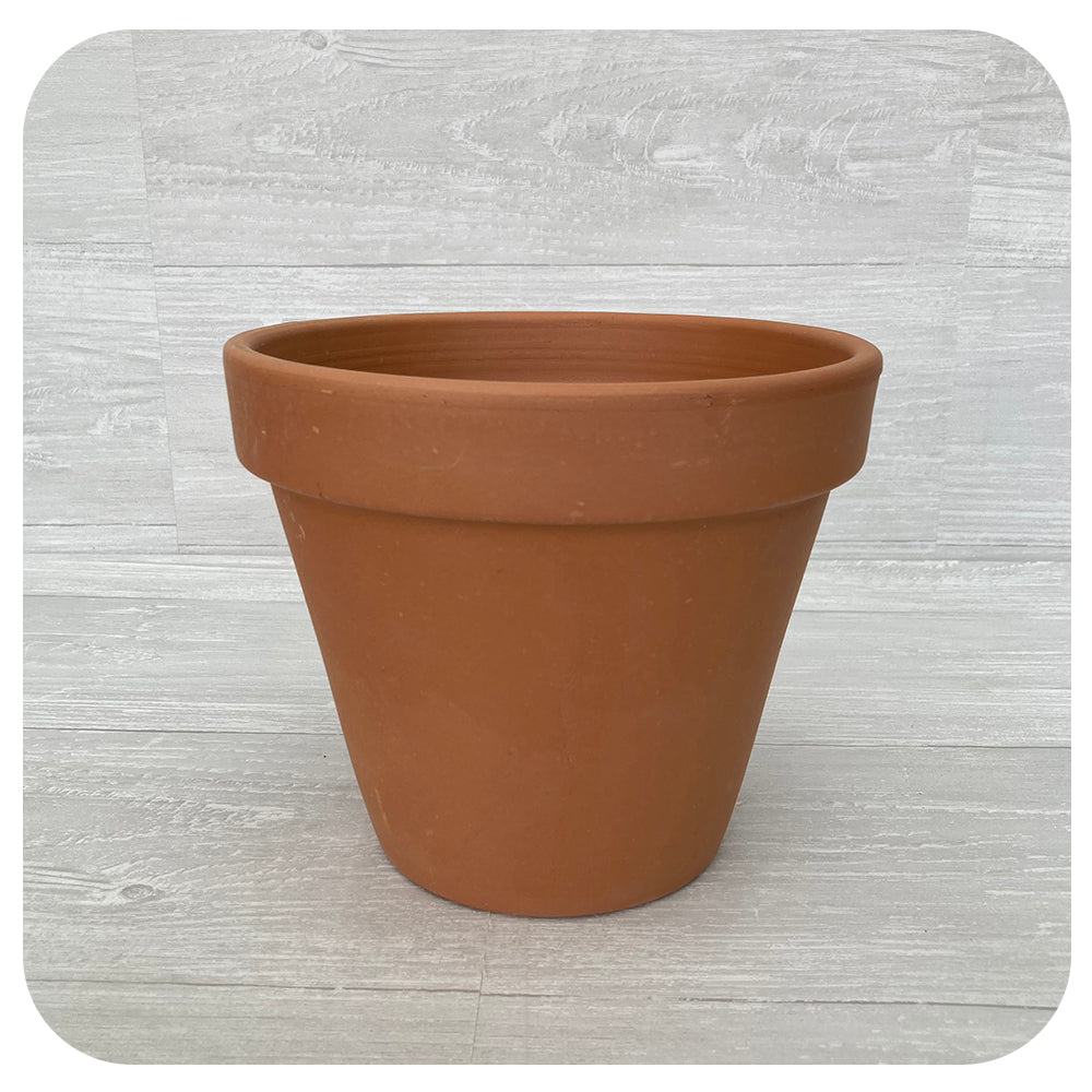 Standard Terra Cotta Pot - Davenport Garden Centre