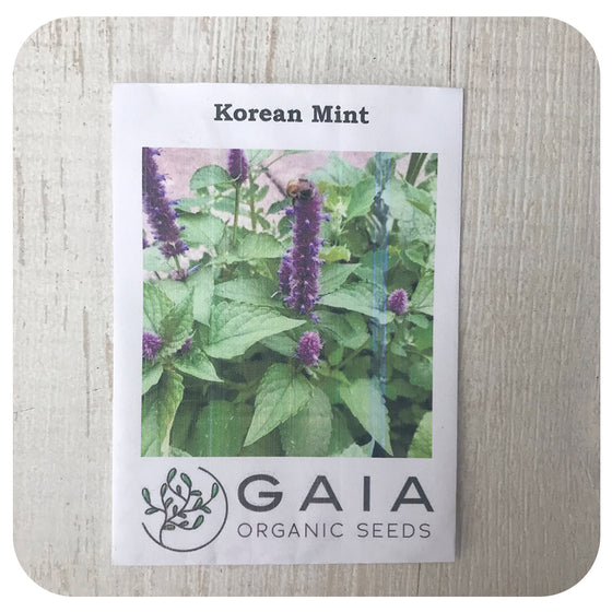 Korean Mint Seeds (Organic)