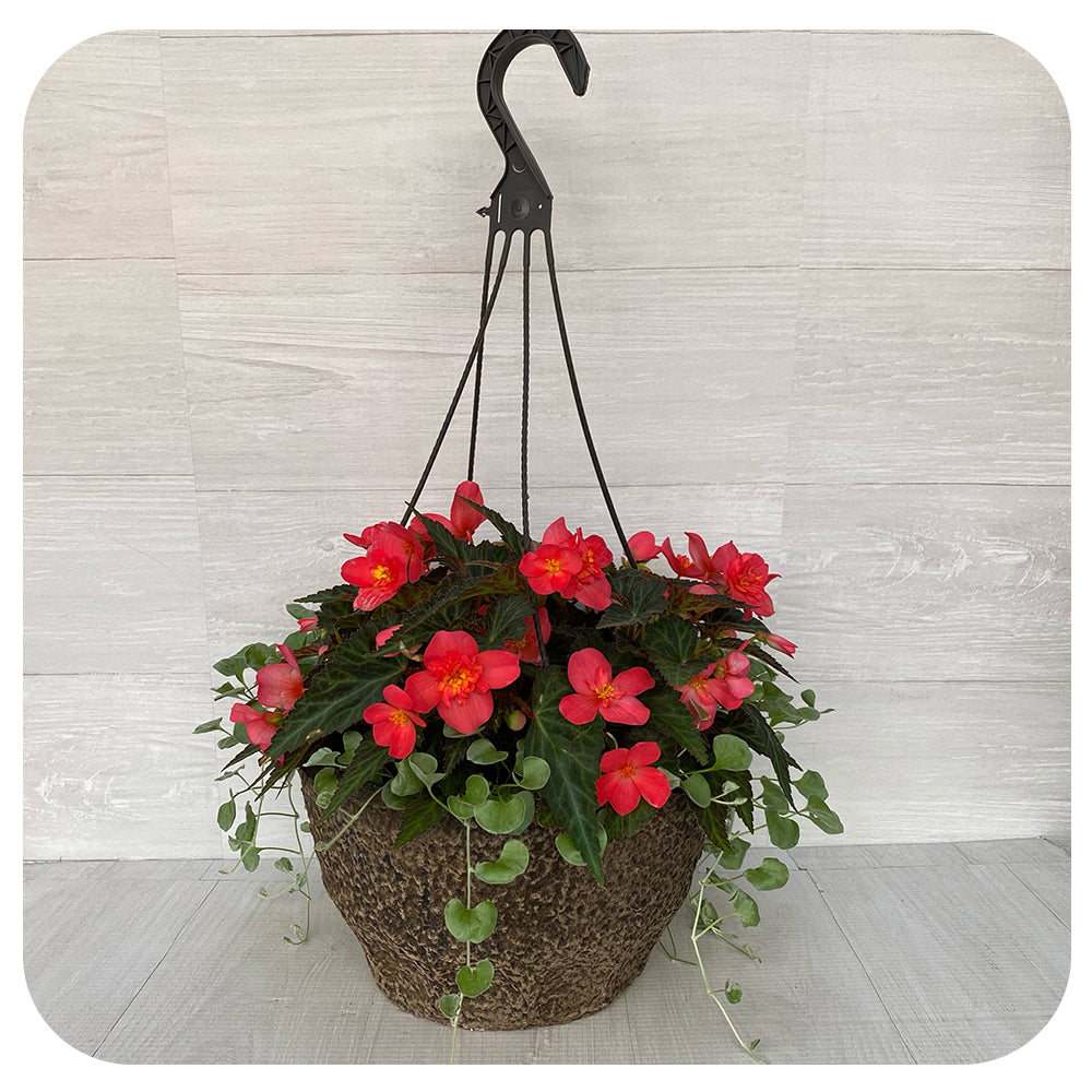 Hanging Basket Shade - Pink and Silver fall Mix