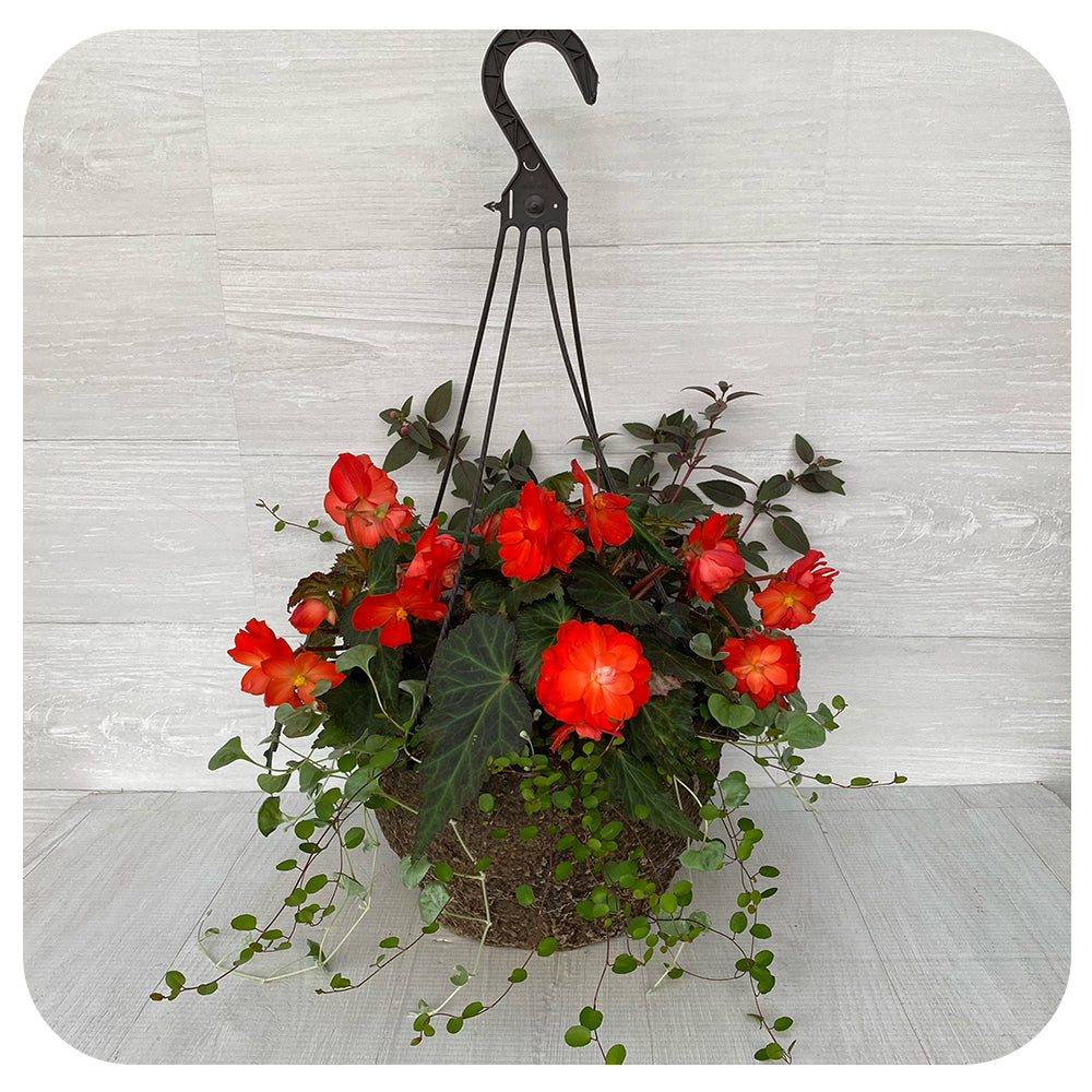 Hanging Basket Shade - Orange and fuchsia Mix