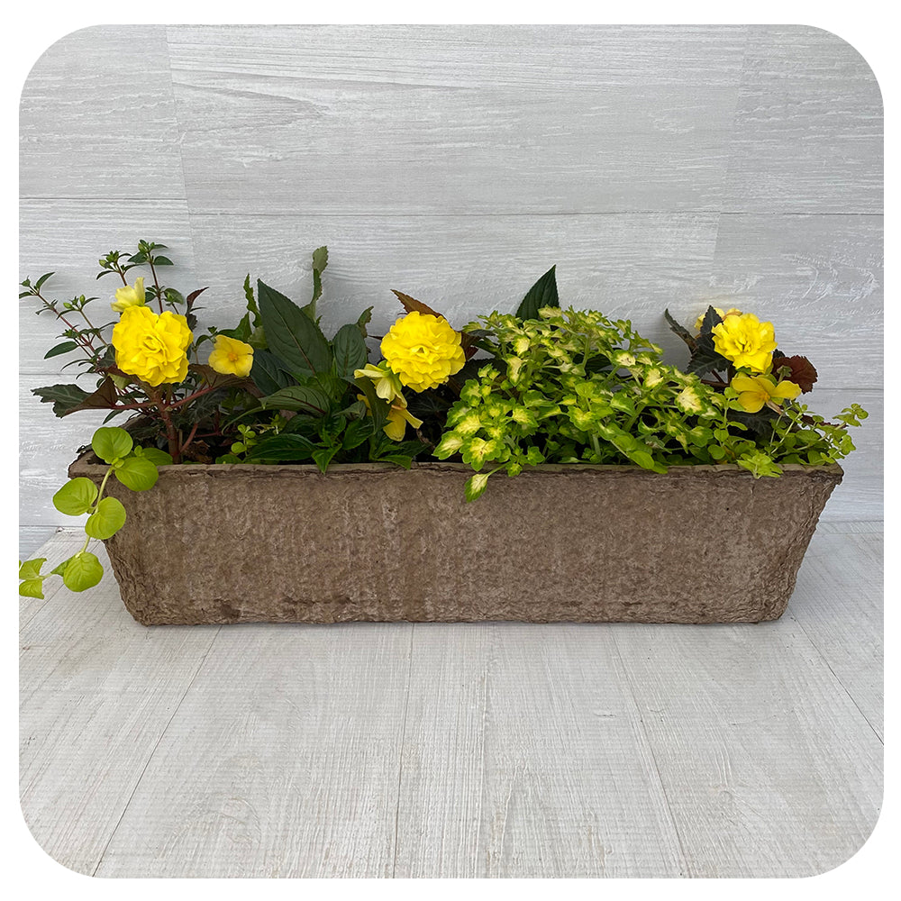 Window Box Shade- Yellow Mix