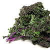 Organic Kale - Redbor or Red Russian variety
