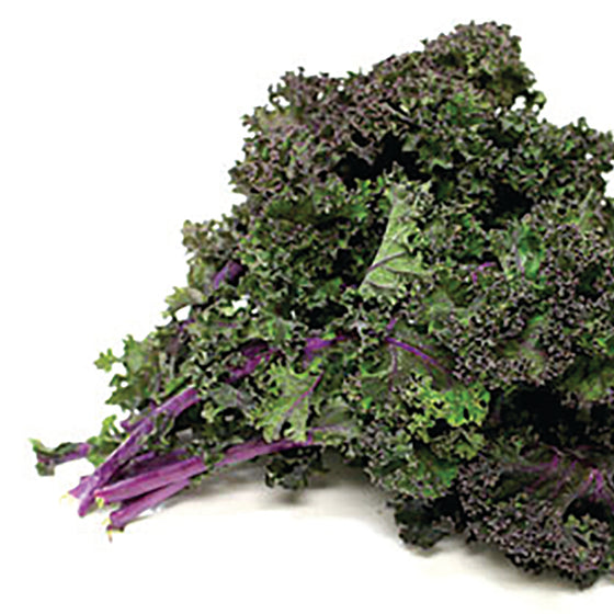Kale 'Red Russia'