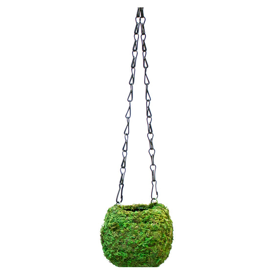 Kokedama Moss Hanging Pot Collection