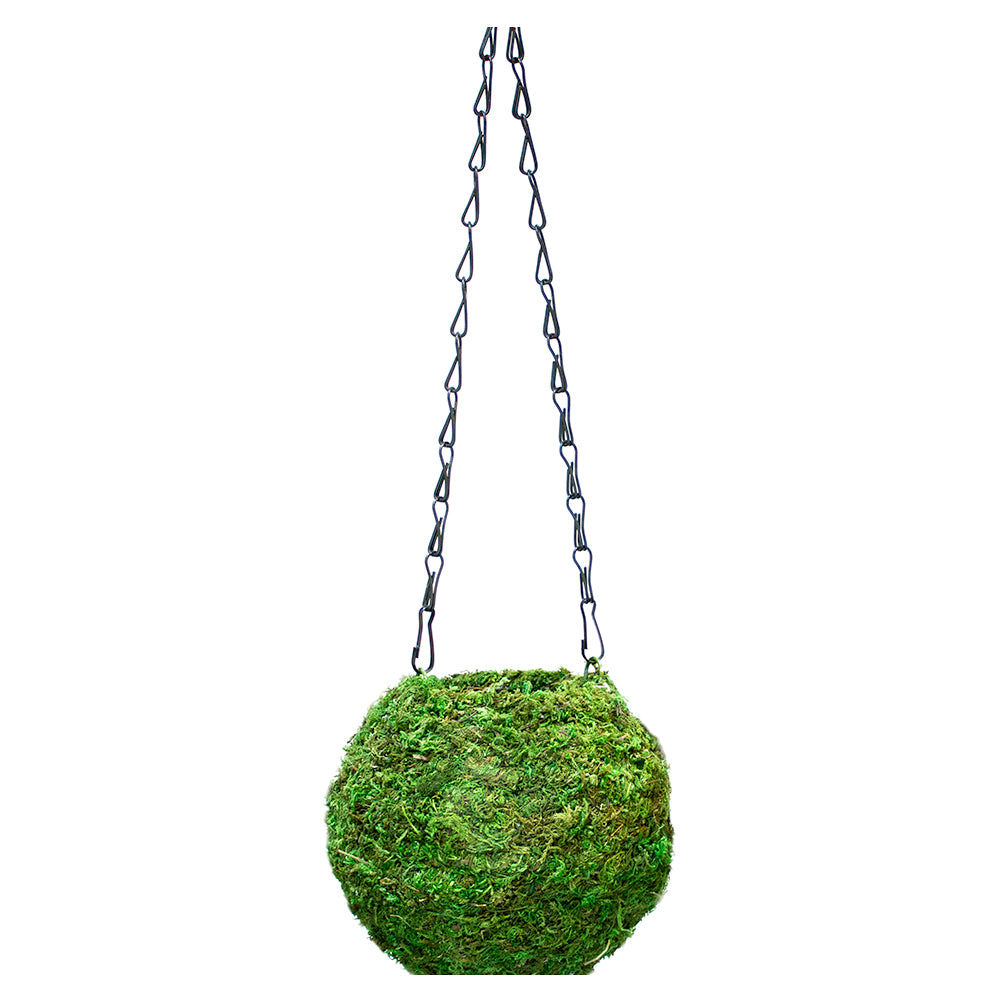Kokedama Moss Hanging Pot Collection