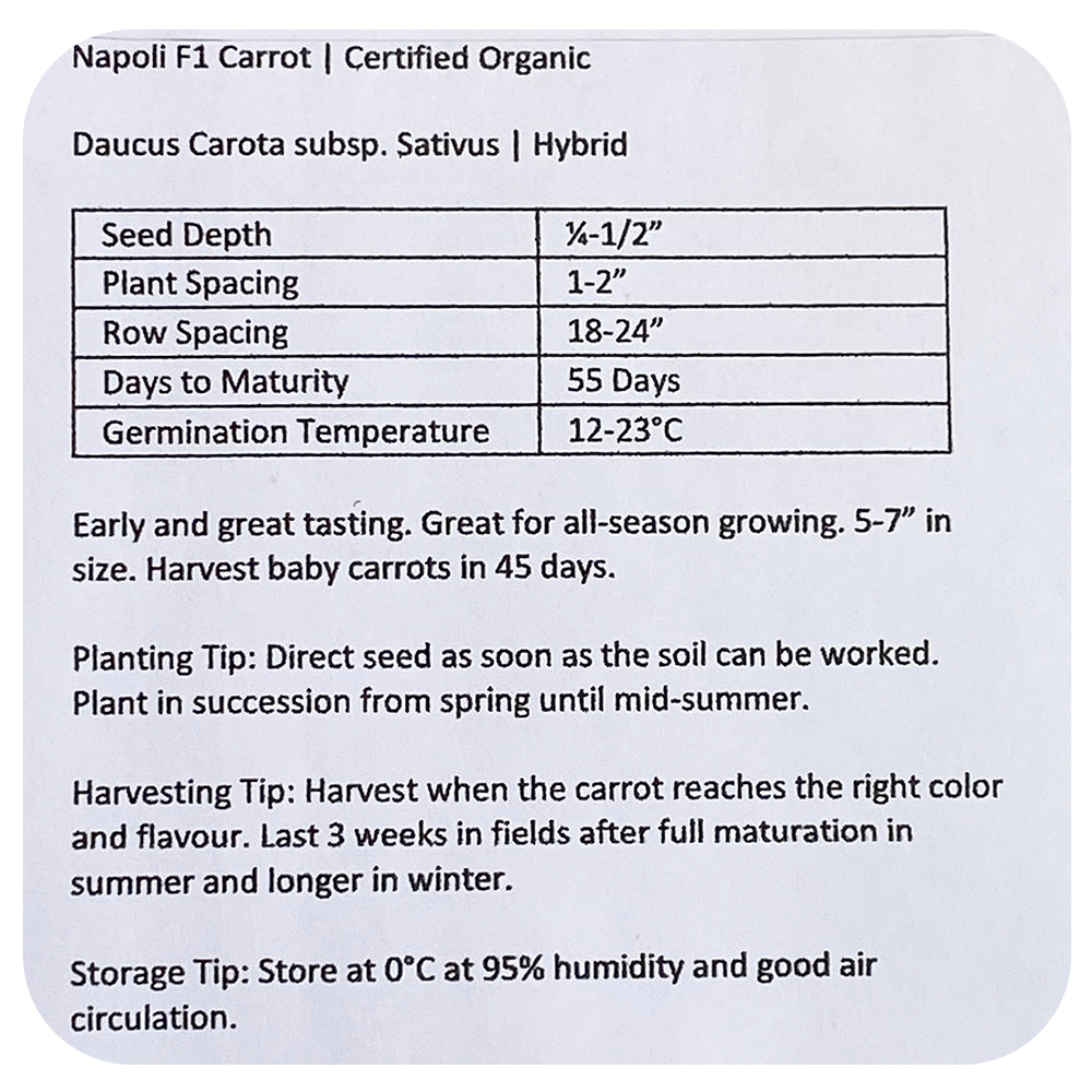 Carrot Napoli Seeds (Organic)