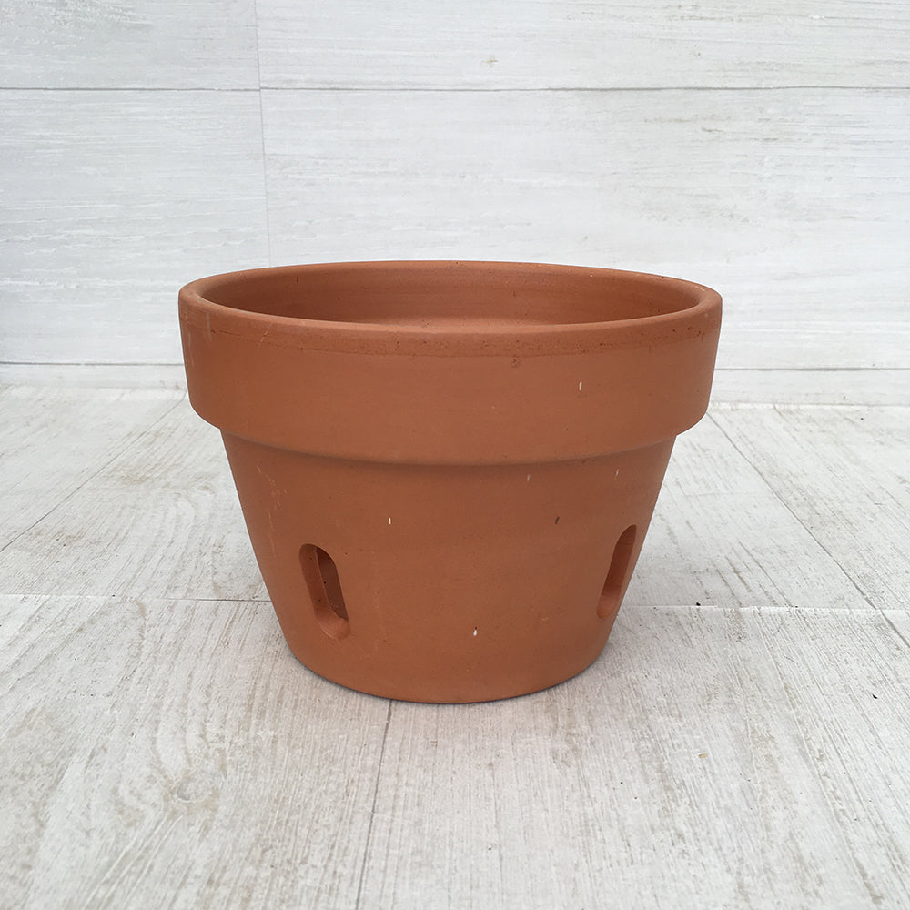 Terra Cotta Orchid Pot