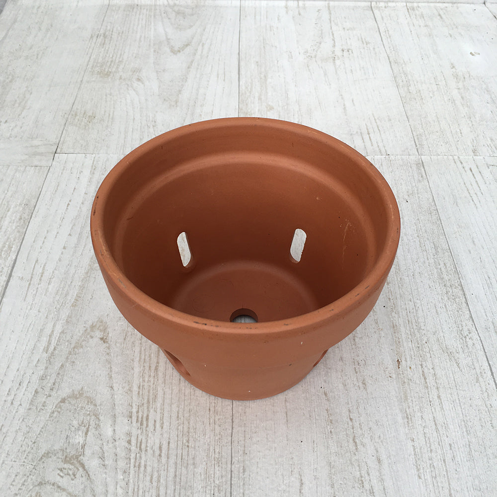 Terra Cotta Orchid Pot