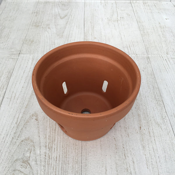 Terra Cotta Orchid Pot Davenport Garden Centre