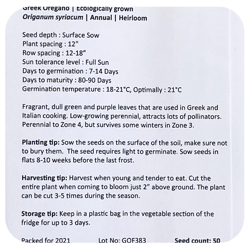 Oregano Greek Seeds (Organic)