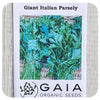 Parsley Italian Seeds (Organic)