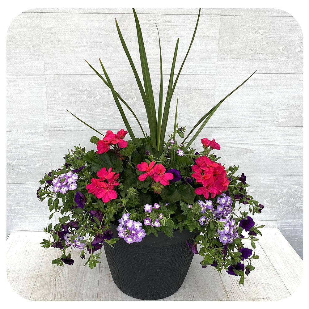 Sun arrangement round 2