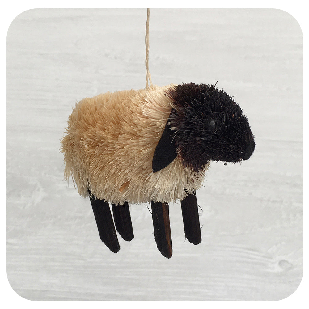 Textured Sheep