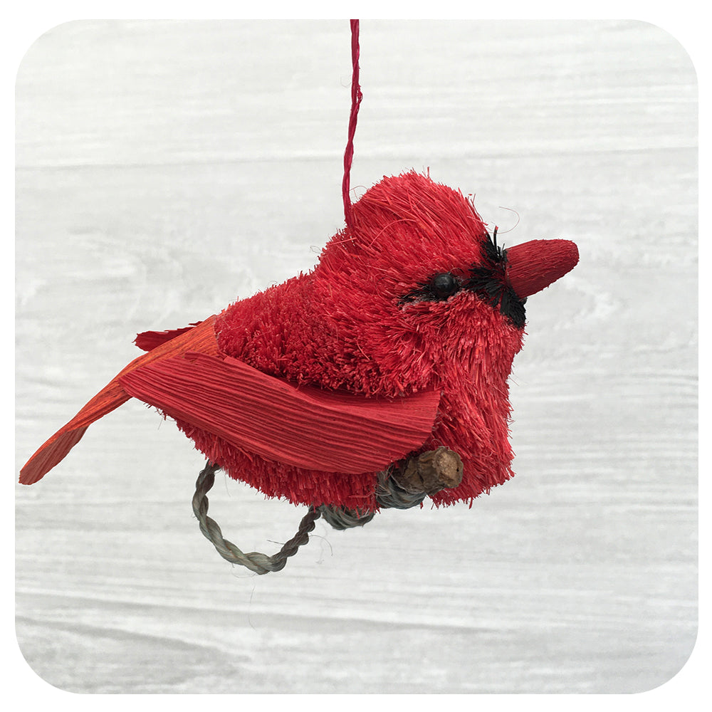 Textured Cardinal on Branch