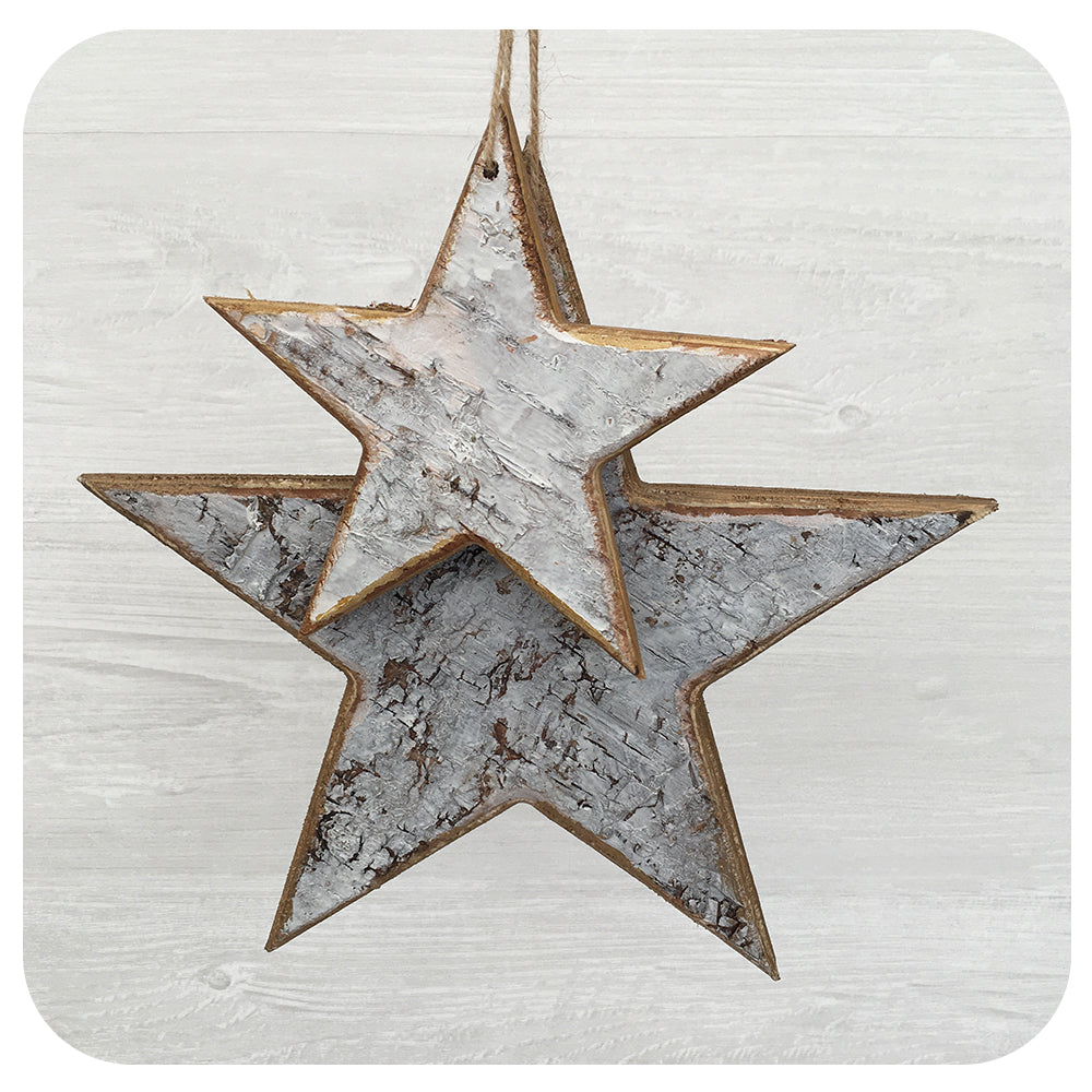 Birch Star Collection