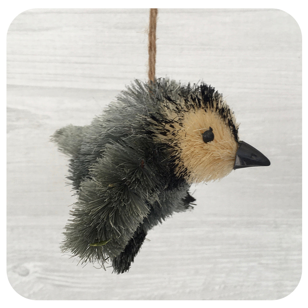 Macho Textured Penguin