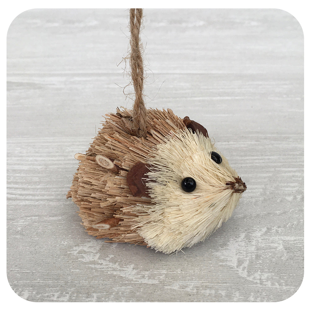 Textured Little Hedgehog