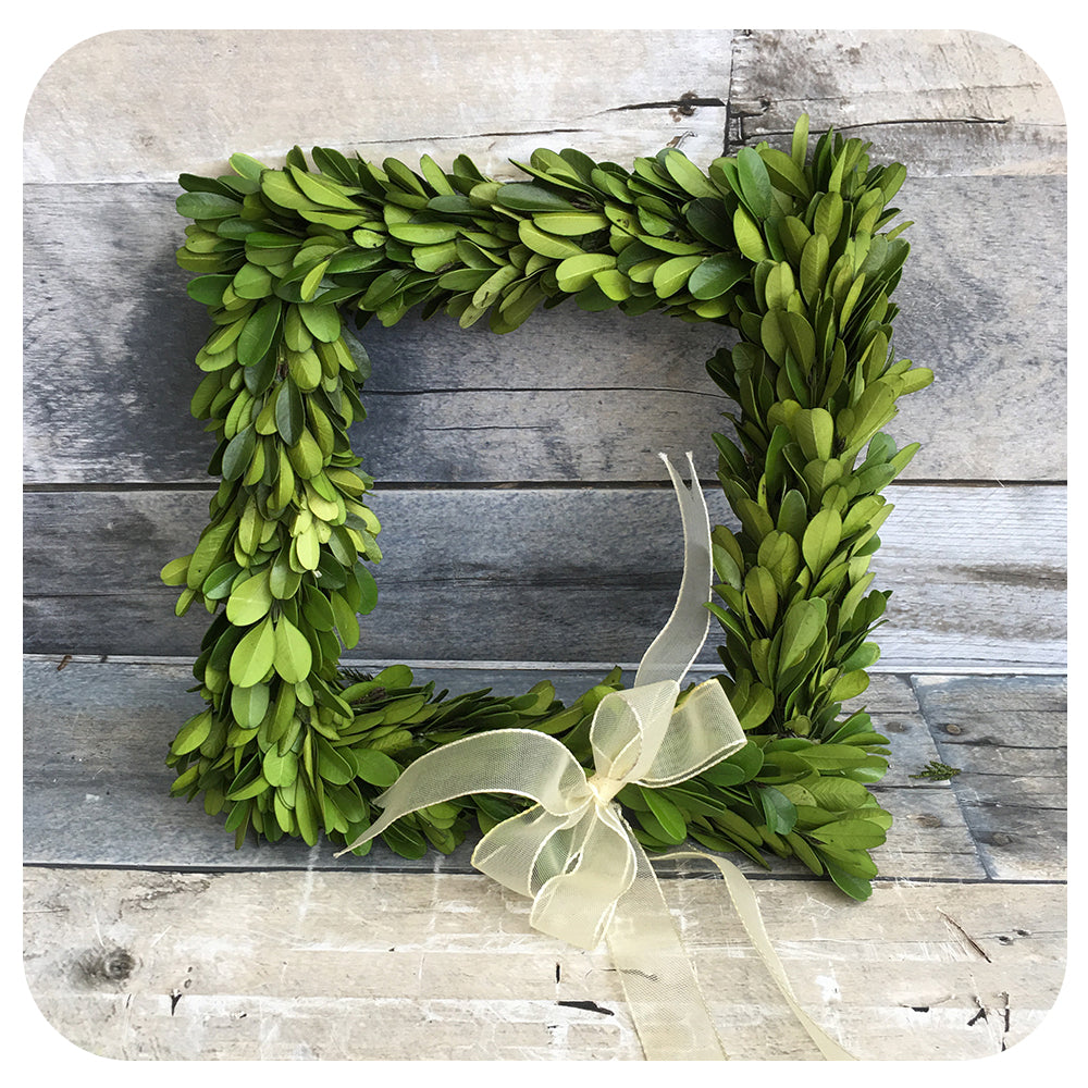 Preserved Square Boxwood Wreath