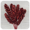 Pinecones - Strobus - Red