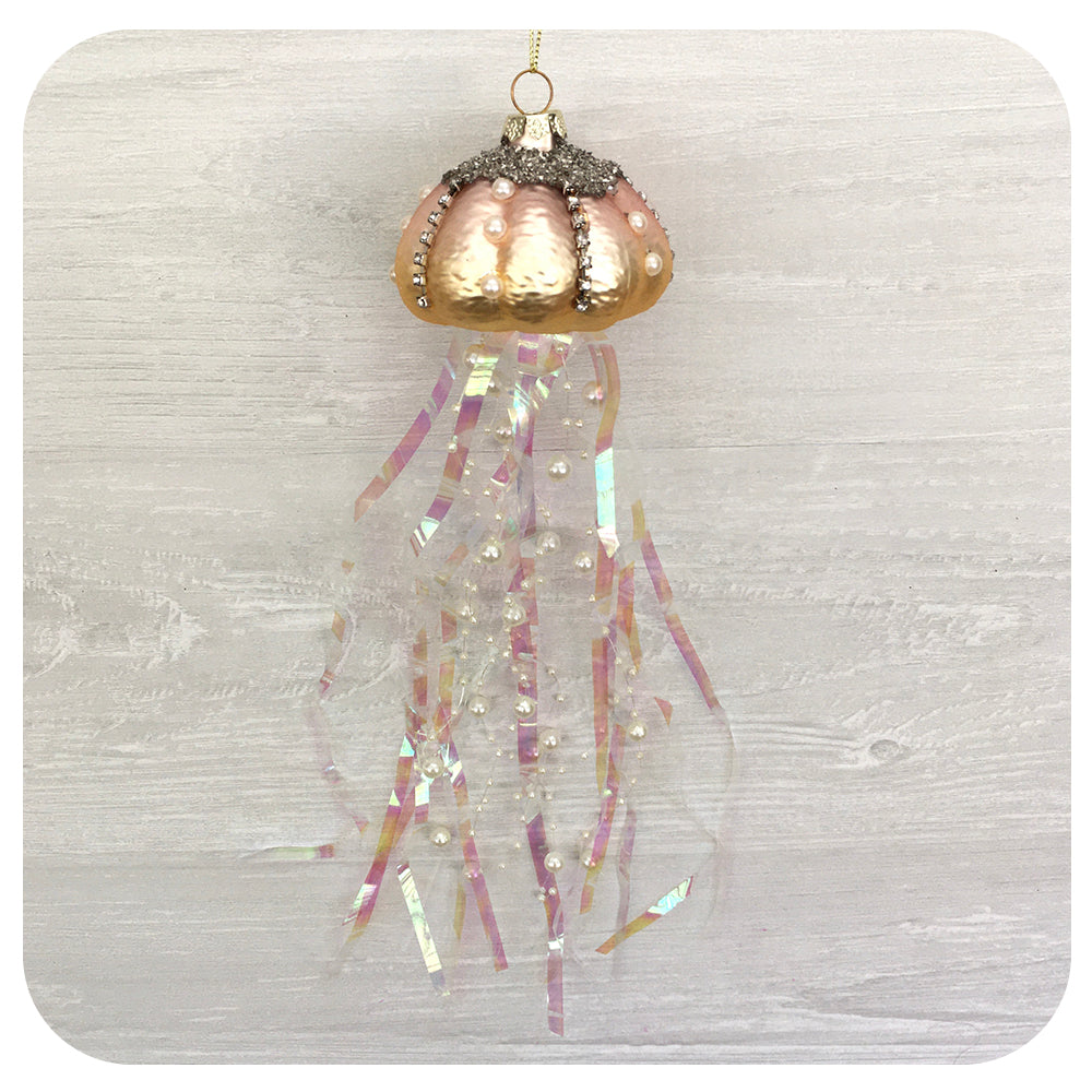 Jellyfish
