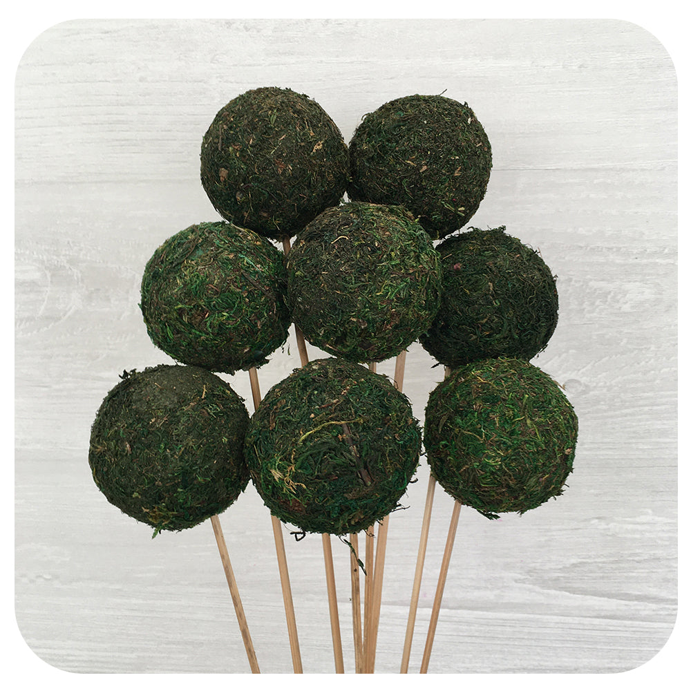 Green Moss Ball