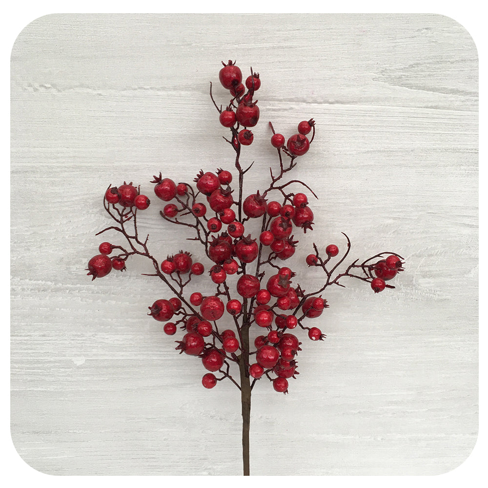 Crabapple Stem - Red