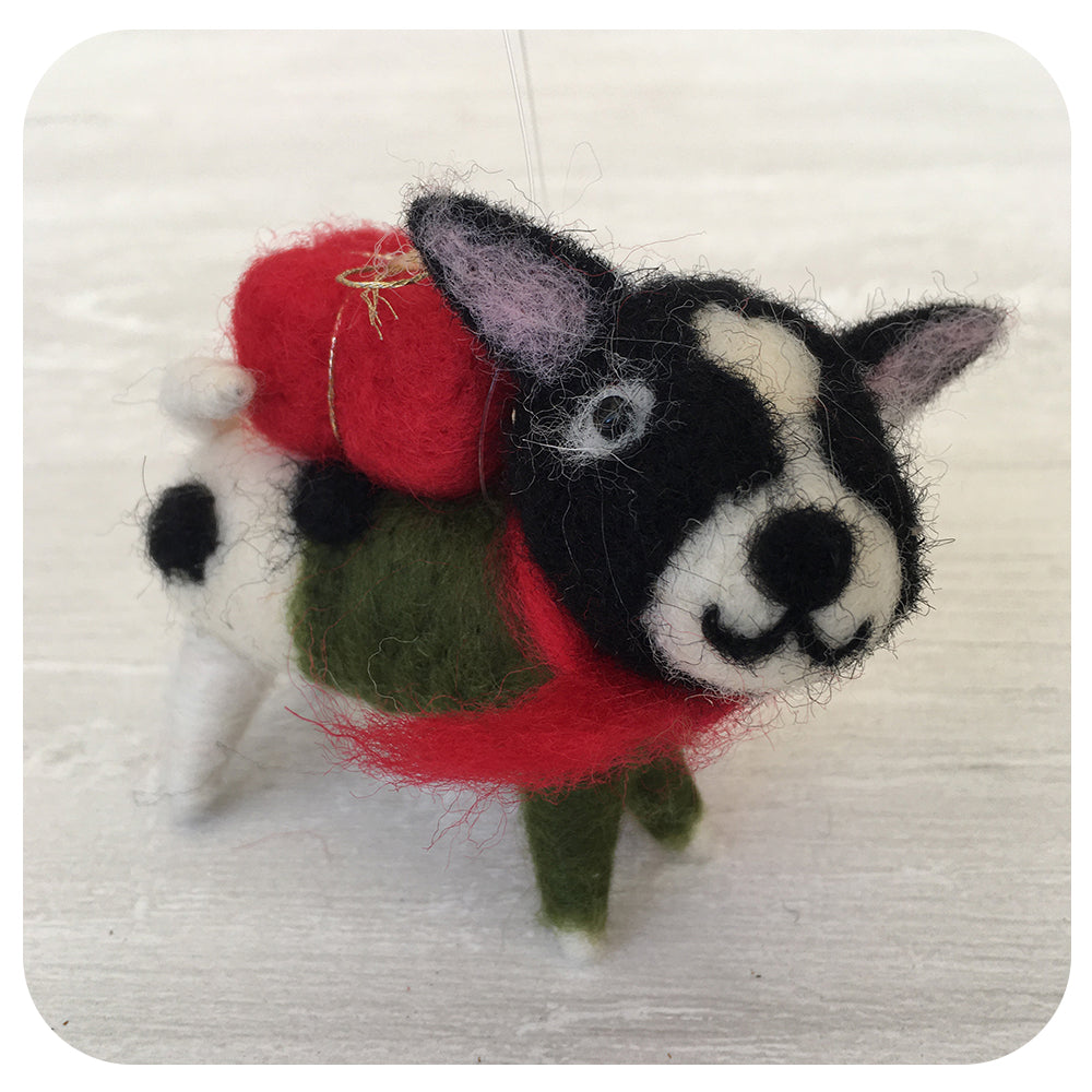 Black and White Dog with Present