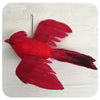 Flying Cardinal