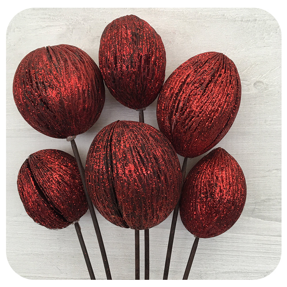 Mintola on Stem - Sparkles