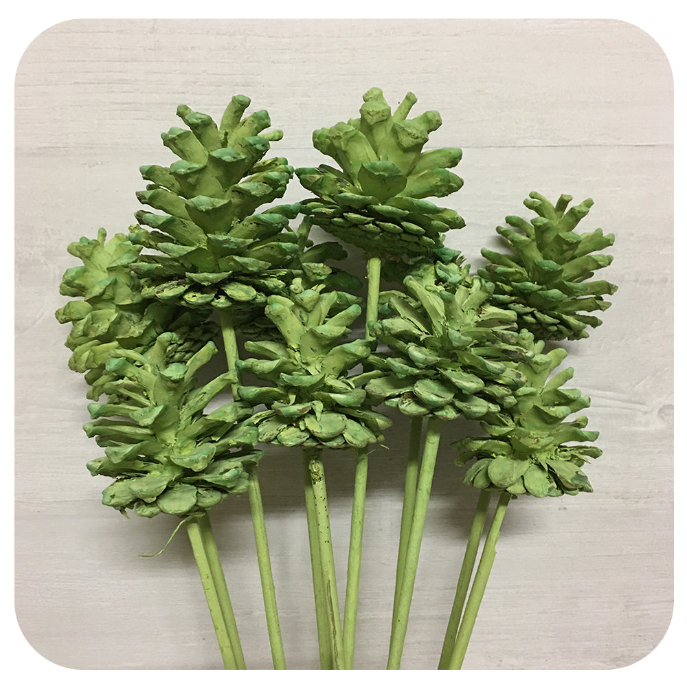 Pinecone on Stem - Green