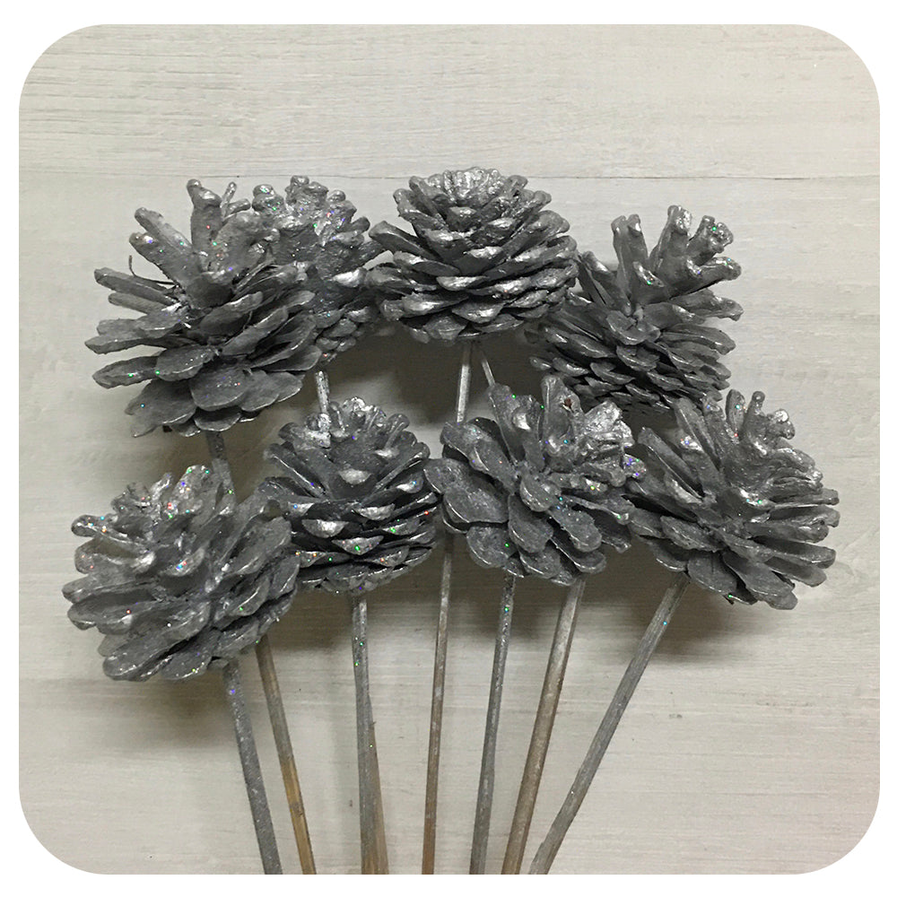 Pinecones - Silver Sparkle