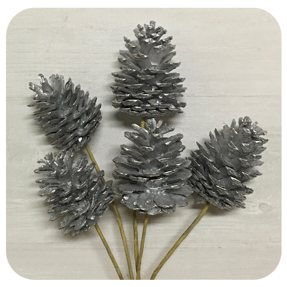 Pinecones - Silver Sparkle