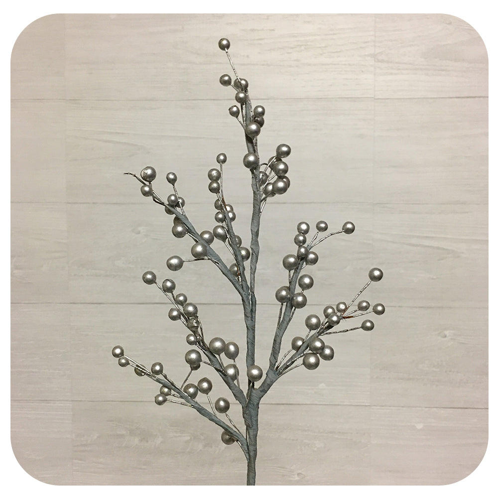 Silver Berry Stem