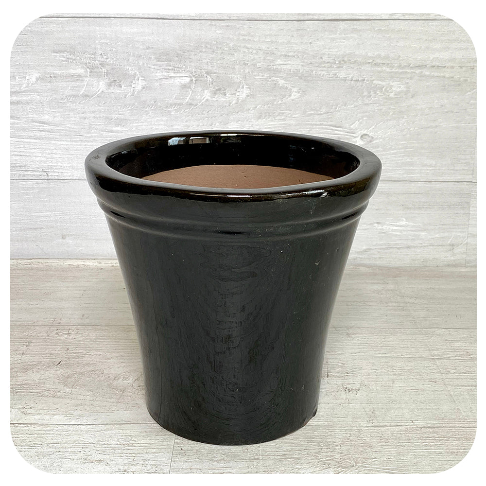 Evergarden Element Large Ceramic Pot Collection