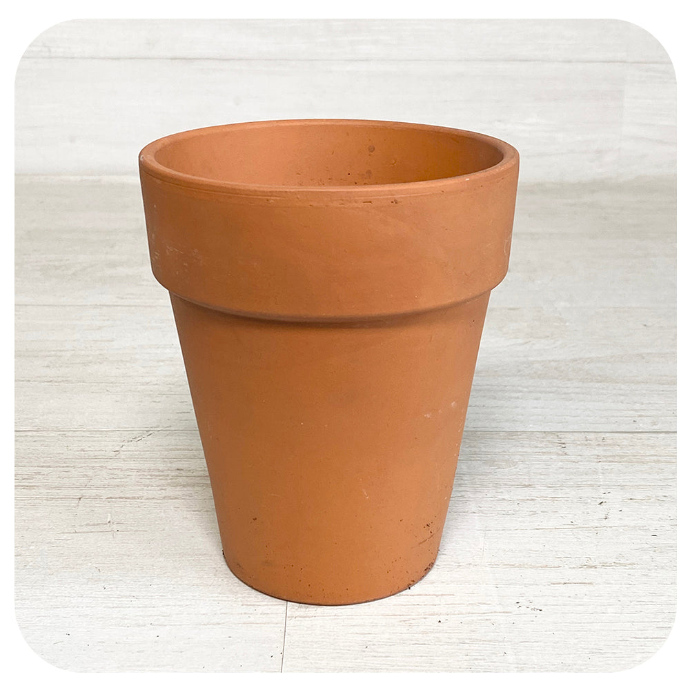 Large Lipped Pot