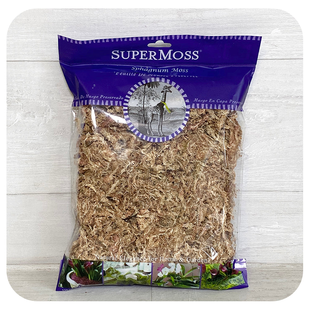 SuperMoss  Sphagnum Moss