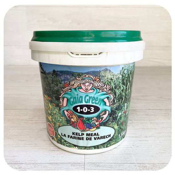 Gaia Green 1-0-3 Kelp Meal - Organic