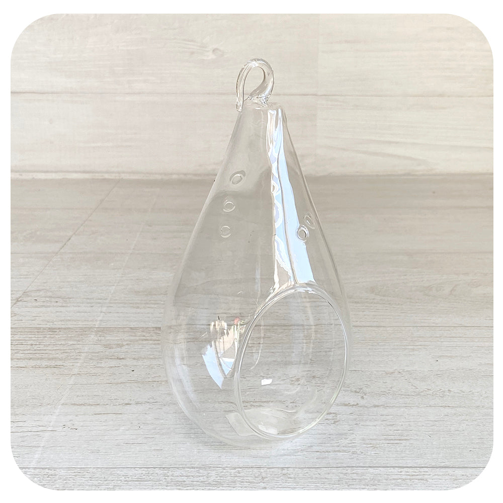 Hanging Teardrop Airplant Terrarium