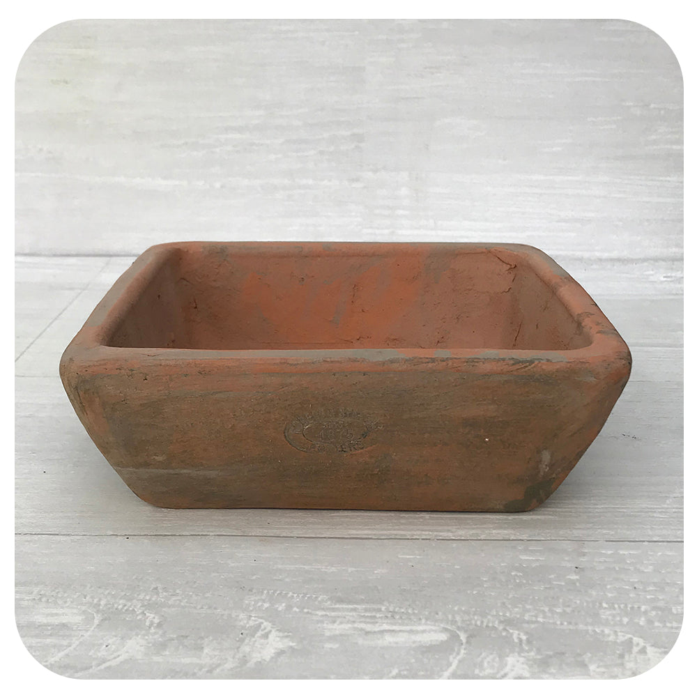 Aged Shallow Terra Cotta Square