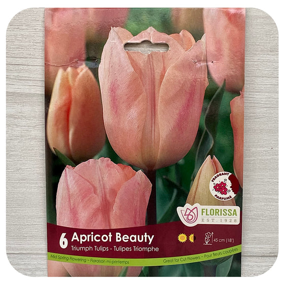 Tulip 'Apricot Beauty'