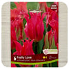 Tulip 'Pretty Love'