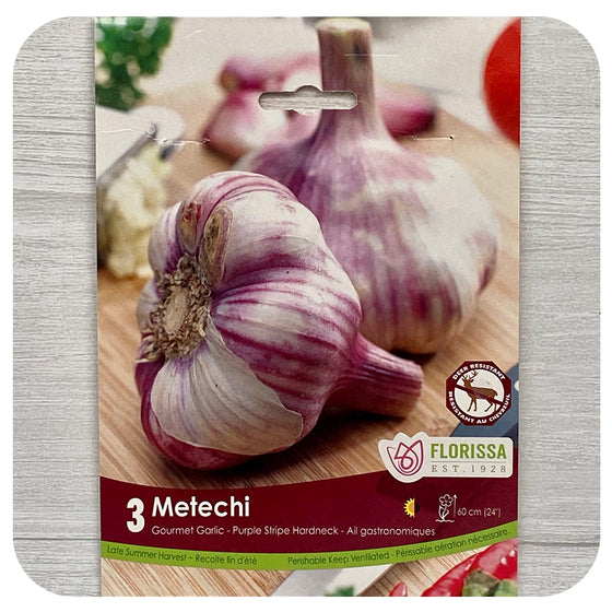 Garlic 'Metechi'