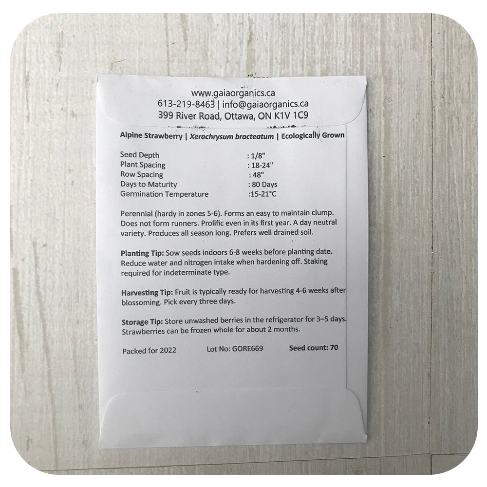 Strawberry Alpine Seeds (Organic)