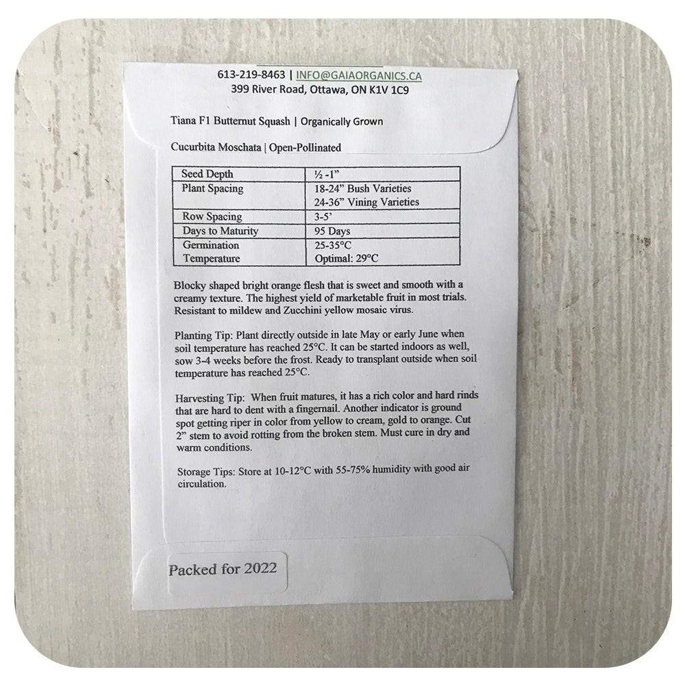 Tiana Butternut Squash Seeds (Organic)
