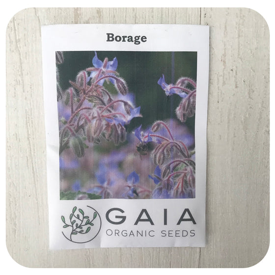 Borage Seeds (Organic)