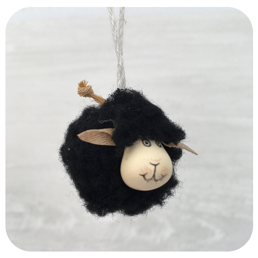 Fleecy Sheep Collection