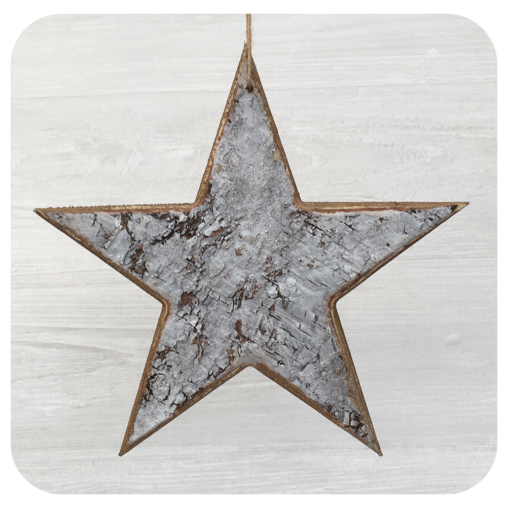 Birch Star Collection